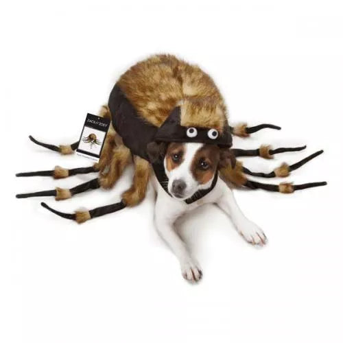 Fuzzy Dog Tarantula Costume